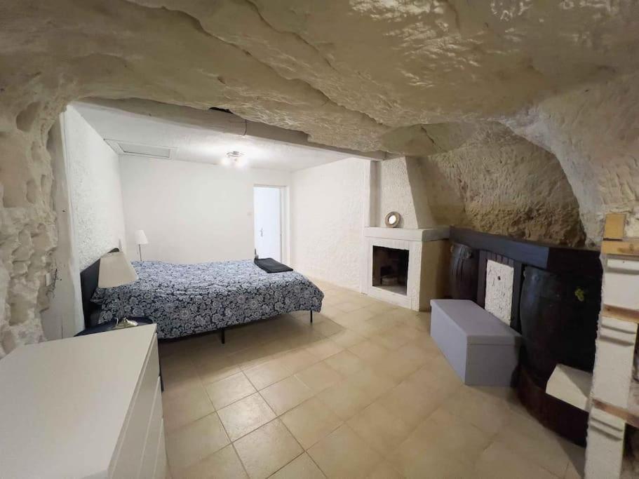 Maison Semi-Troglodyte Avec 4 Velos Rochecorbon Dış mekan fotoğraf